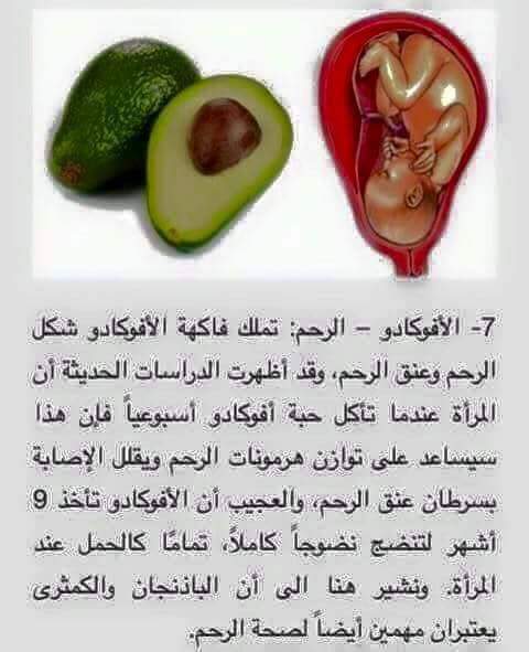    bntpal.com_148916081