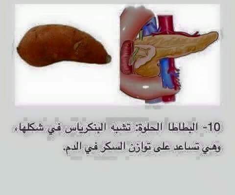    bntpal.com_148916081
