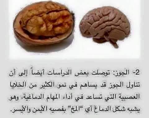    bntpal.com_148916081
