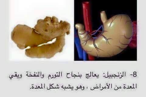    bntpal.com_148916081