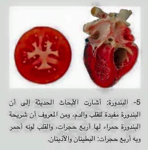    bntpal.com_148916081