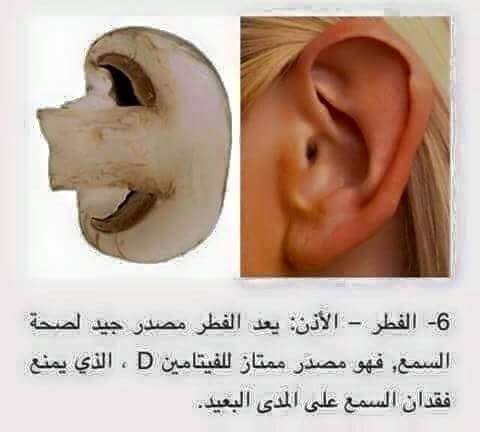    bntpal.com_148916081