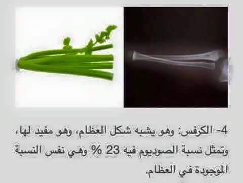    bntpal.com_148916081