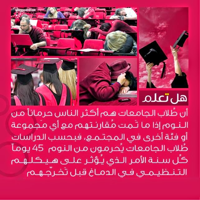 bntpal.com_148975158