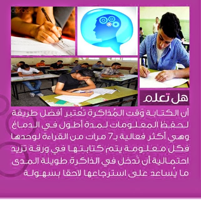 bntpal.com_148975161
