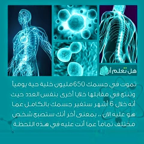 bntpal.com_148975161
