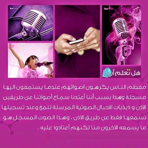 bntpal.com_148975161