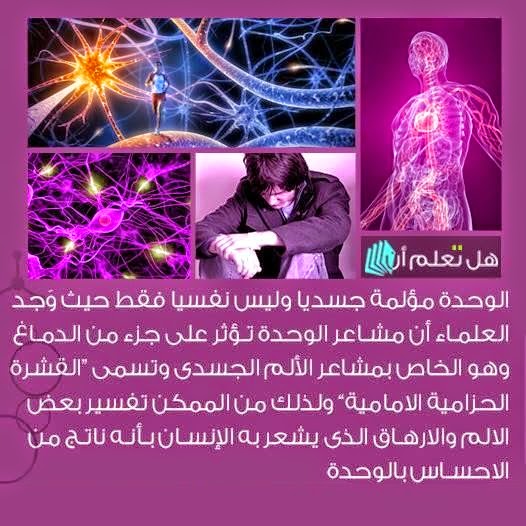 bntpal.com_148975332