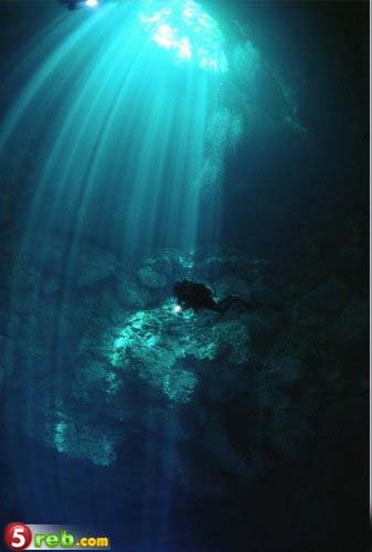 bntpal.com_148978872