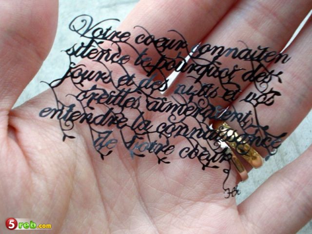  bntpal.com_148996815