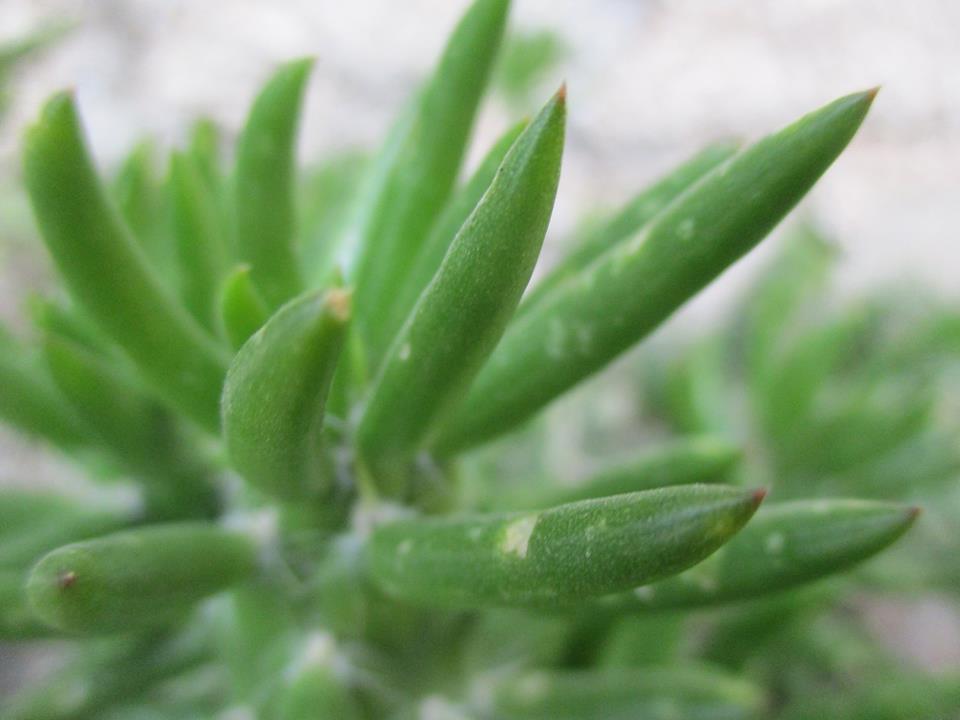 bntpal.com_149013760