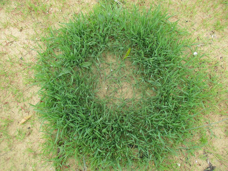 bntpal.com_149013760