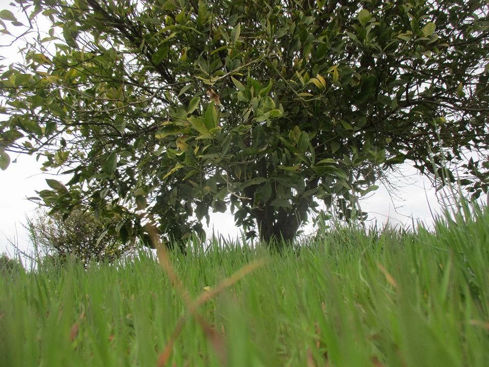 bntpal.com_149013760