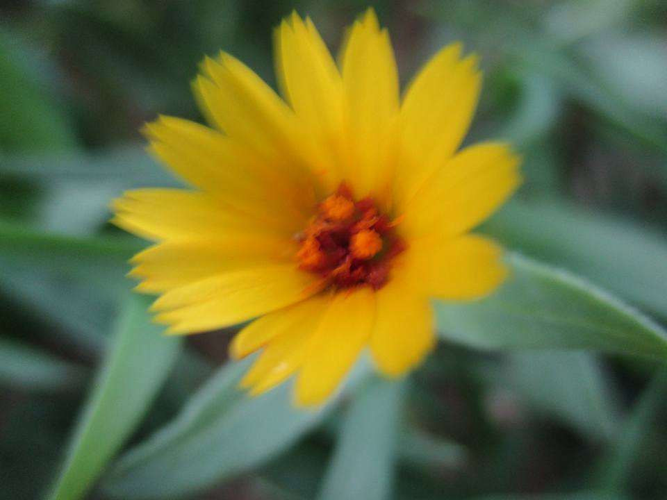 bntpal.com_149013760