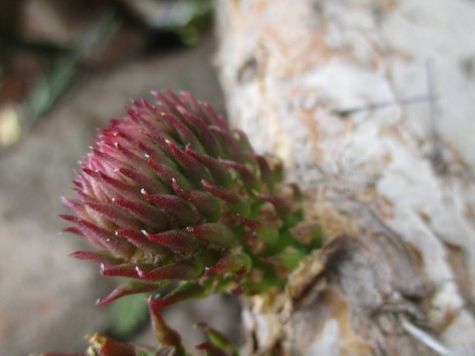 bntpal.com_149013760