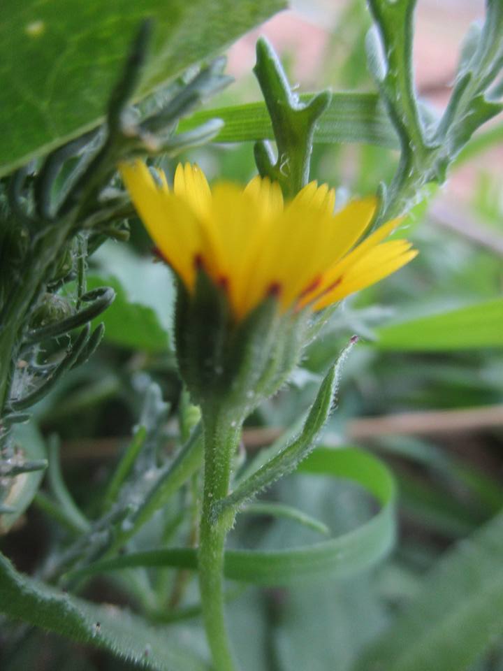 bntpal.com_149013760