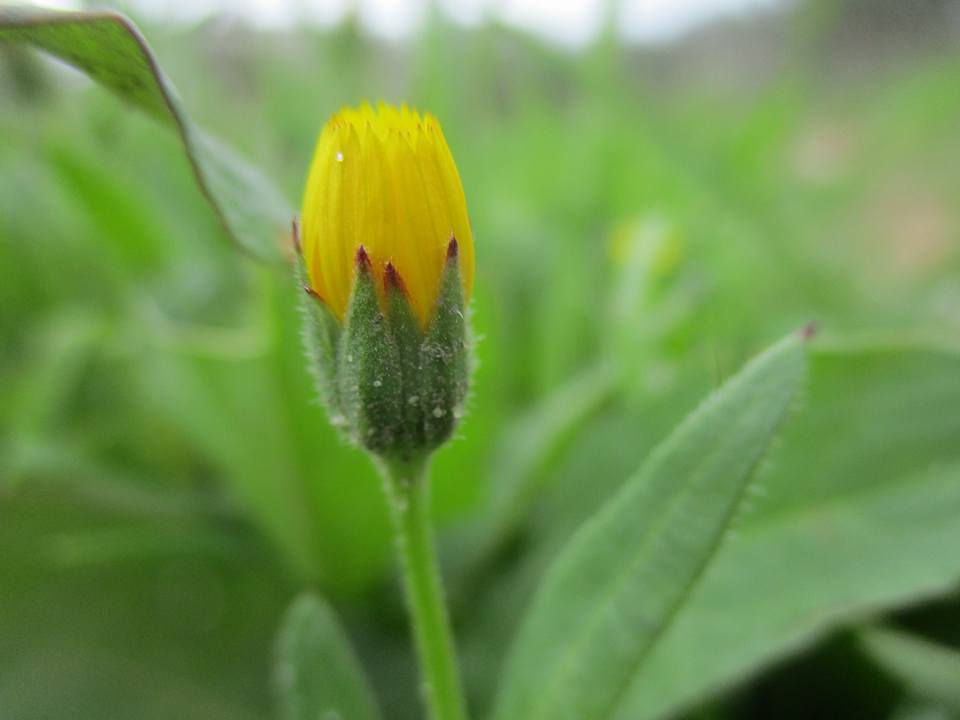 bntpal.com_149013790