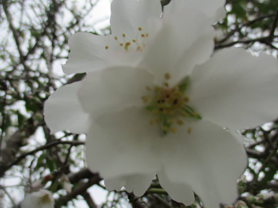 bntpal.com_149013790