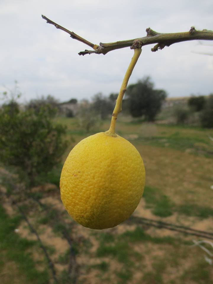 bntpal.com_149013790