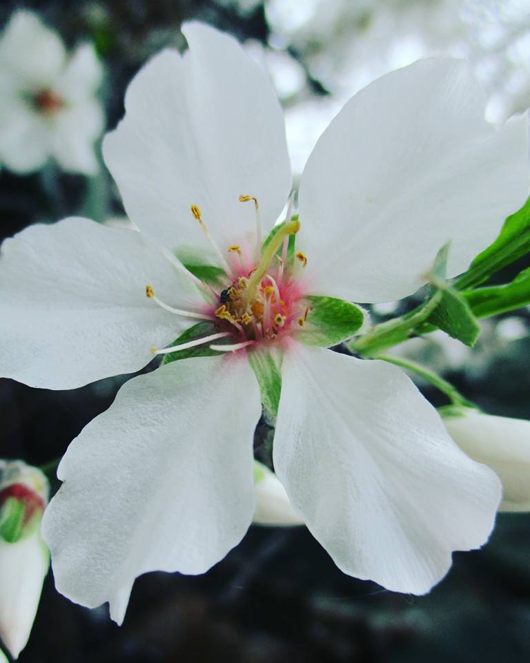 bntpal.com_149013790