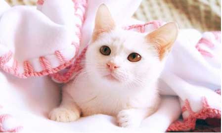 "" bntpal.com_149048358