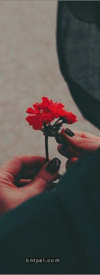 bntpal.com_149053963