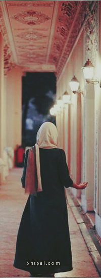 bntpal.com_149053981