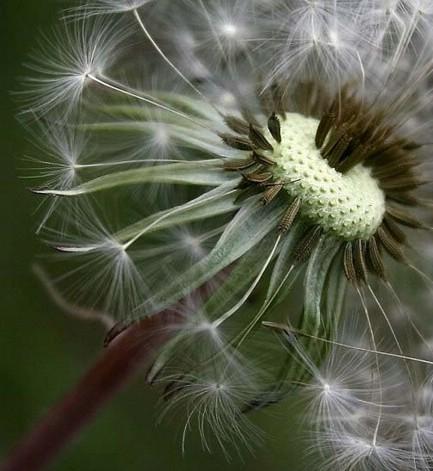 bntpal.com_149056443