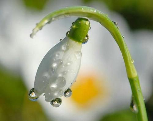 bntpal.com_149056443