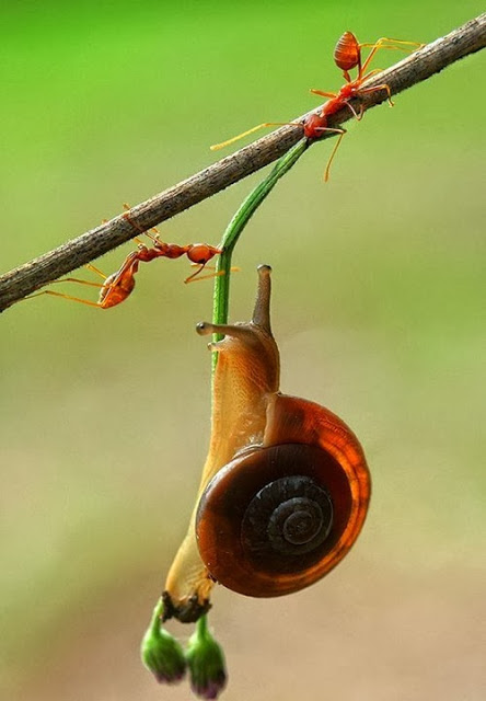 bntpal.com_149209604