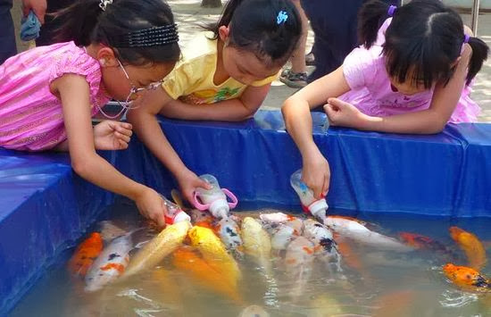  bntpal.com_149220667