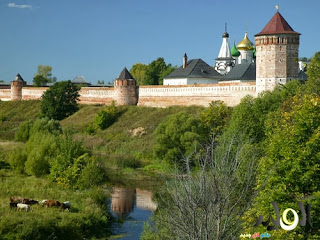  bntpal.com_149236617