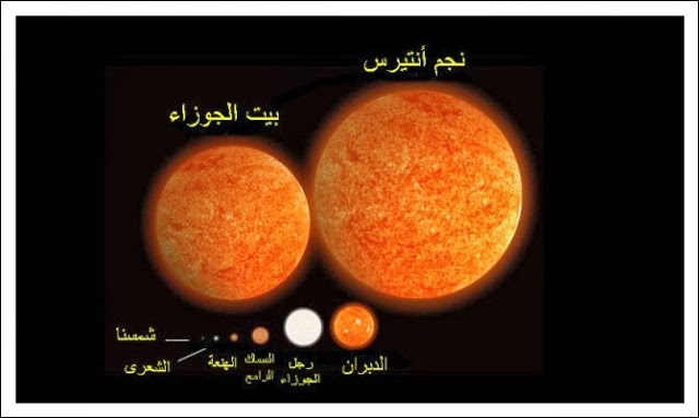 bntpal.com_149294909