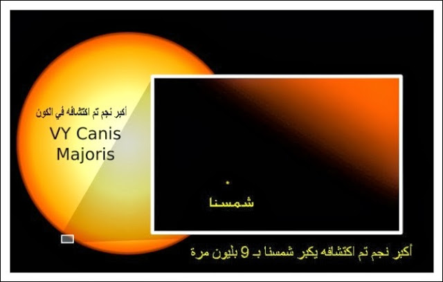 bntpal.com_149294909