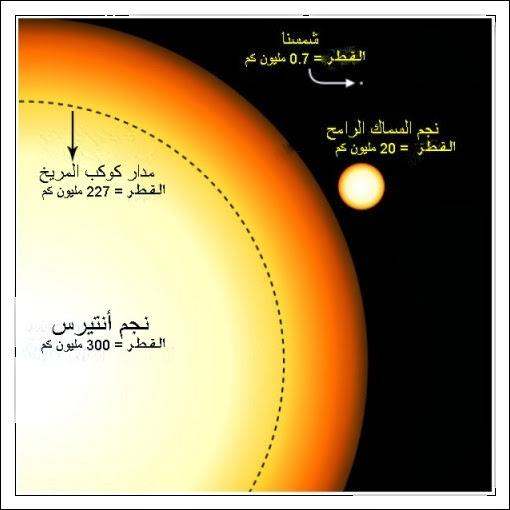bntpal.com_149294909