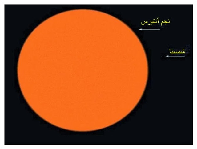 bntpal.com_149294909