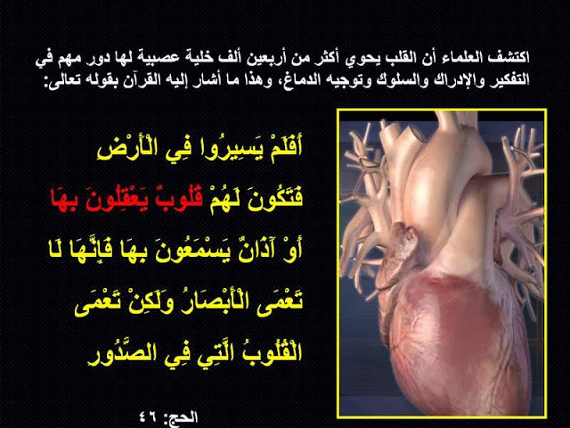 bntpal.com_149294909