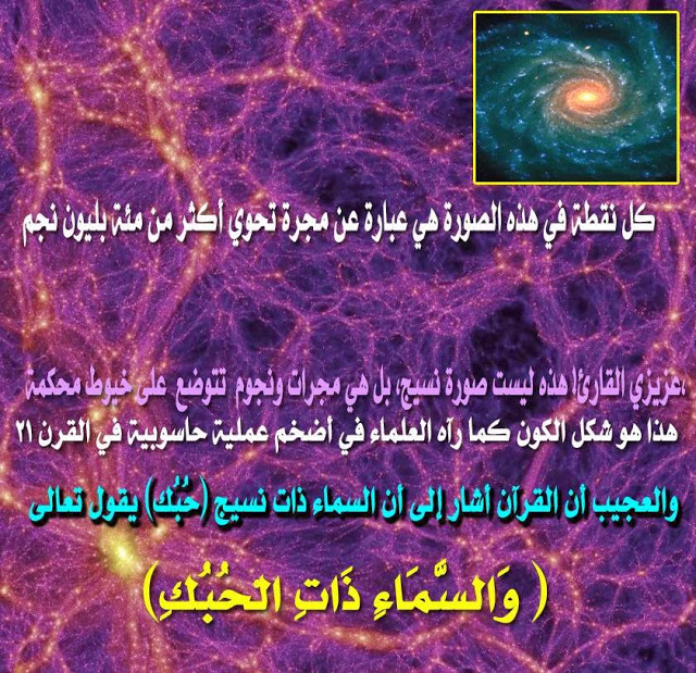 bntpal.com_149294909