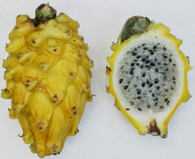 bntpal.com_149295609