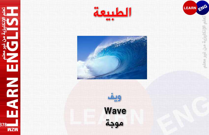  bntpal.com_149544484