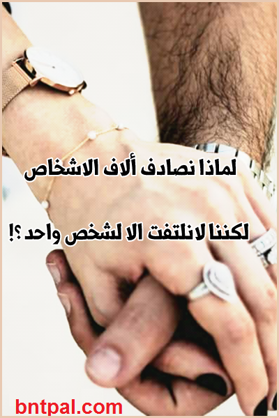 bntpal.com_149581296