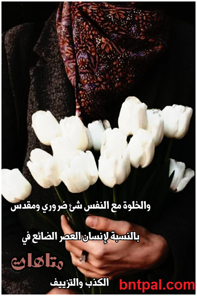bntpal.com_149581296