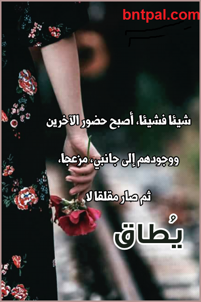 bntpal.com_149581296