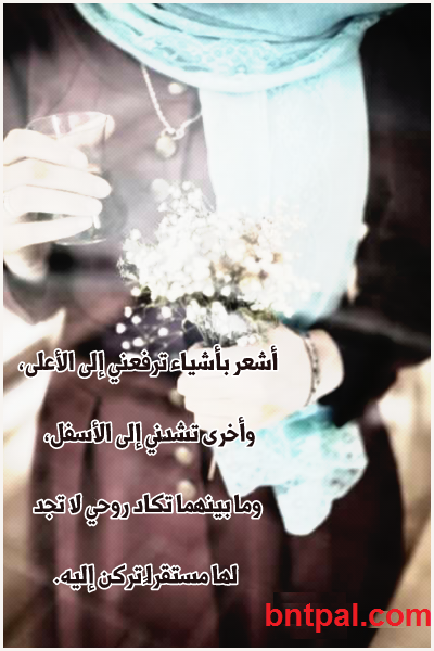bntpal.com_149581296