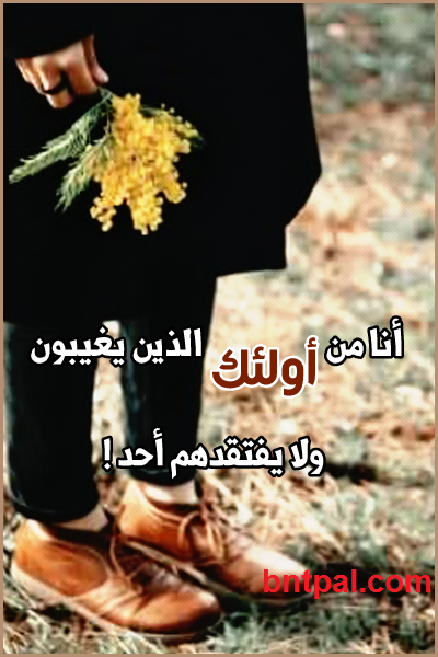 bntpal.com_149581296