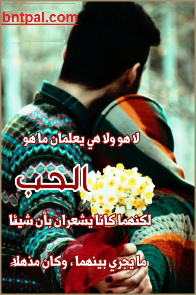 bntpal.com_149581296