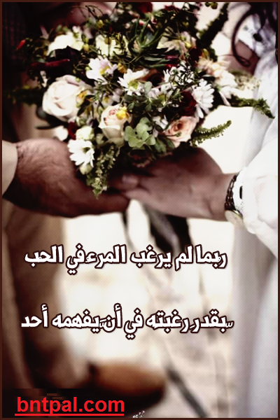 bntpal.com_149581296