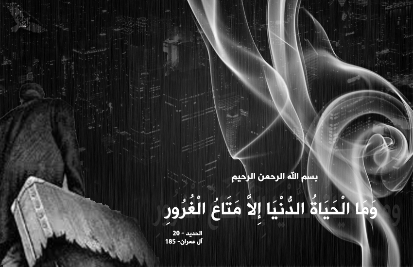 bntpal.com_149631003