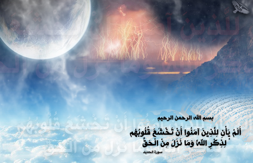bntpal.com_149717343