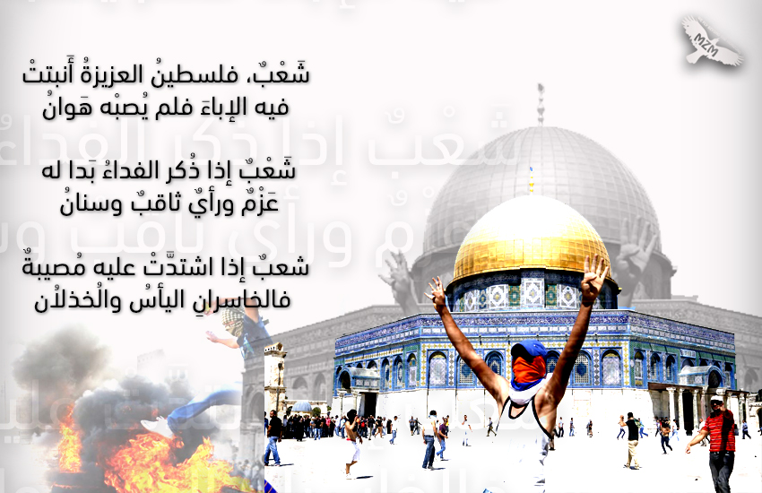 bntpal.com_150131668